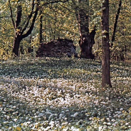 Kvarnvillan Lummelundsbruk VBY Exterior foto
